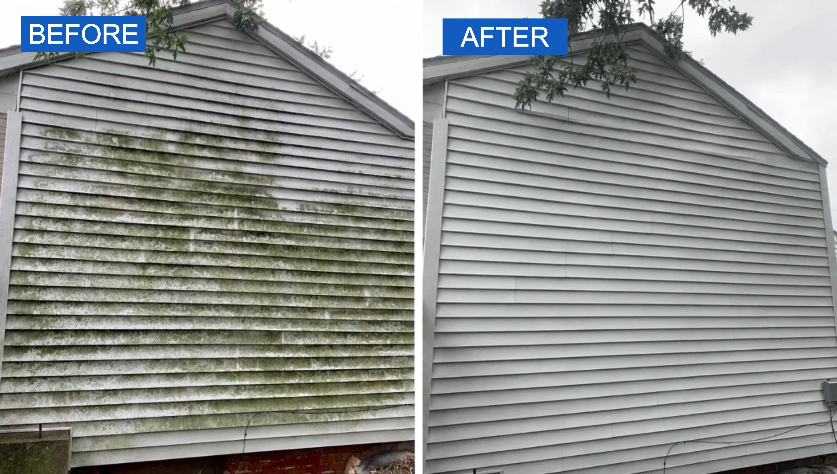 A home's gable siding covered in green algae before soft washing next to the same siding cleaned bright and even after.