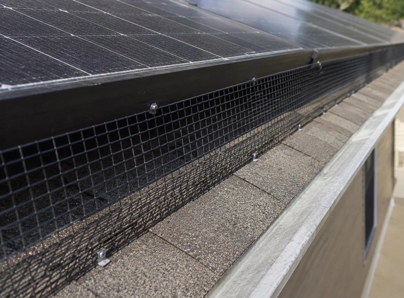 Metal mesh bird-proofing installed along the edge of rooftop solar panels to block nesting.